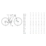 Orbea Bicicleta de MTB Onna 50 27.5´´ Tourney TX800 2026 - Imagen 2