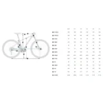 Orbea Bicicleta de MTB Onna 50 29´´ Tourney TX800 2026 – Image 2